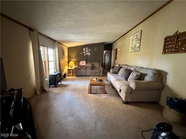 living room with ornamental molding and a textured ceiling