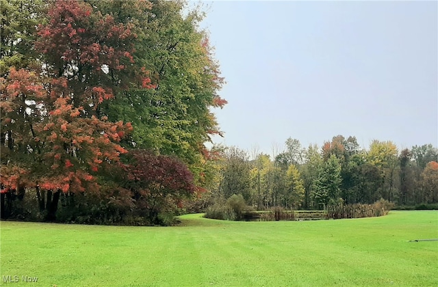 surrounding community featuring a lawn