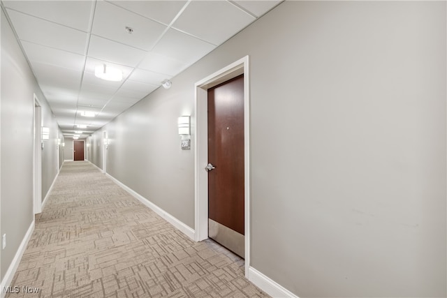 hallway with a paneled ceiling and light carpet