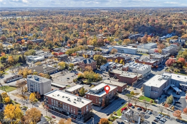 drone / aerial view