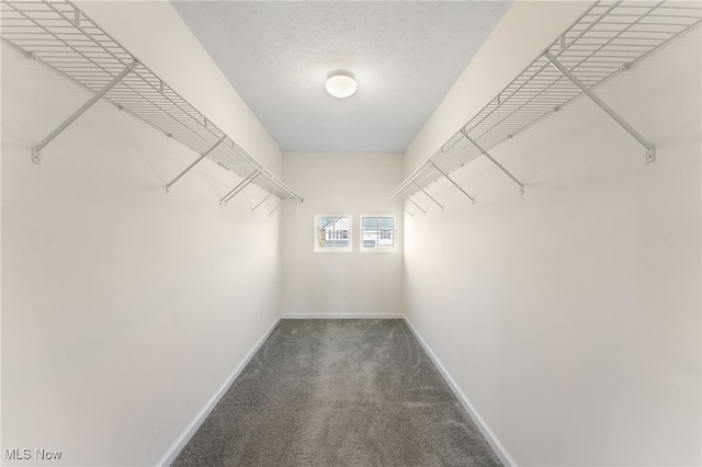 walk in closet featuring dark carpet