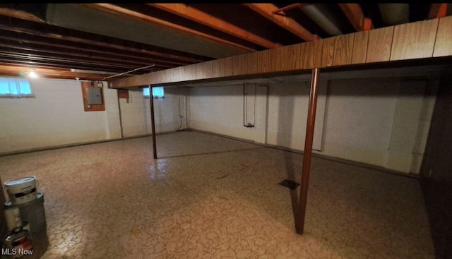 basement with electric panel