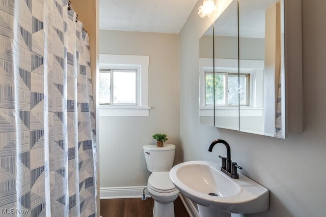 bathroom with toilet, walk in shower, hardwood / wood-style flooring, and sink