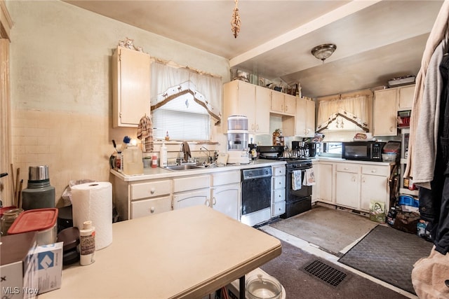 kitchen featuring black appliances and sink