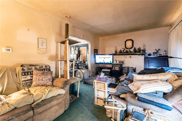 view of carpeted living room