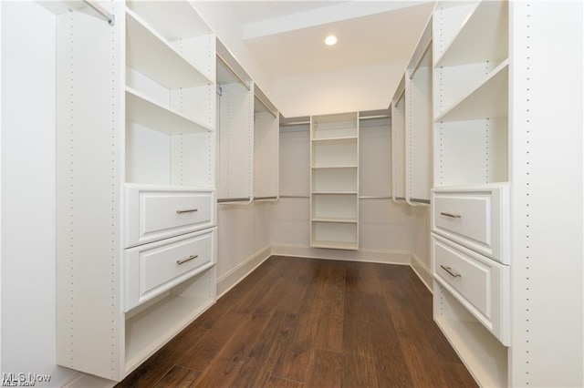 walk in closet featuring dark hardwood / wood-style floors