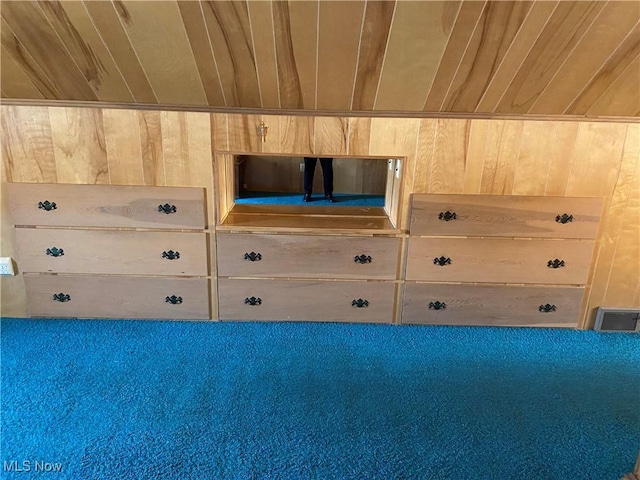 421 W Omar St, Struthers, OH 44471 - closet featuring visible vents
