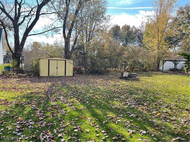 view of yard with a storage shed