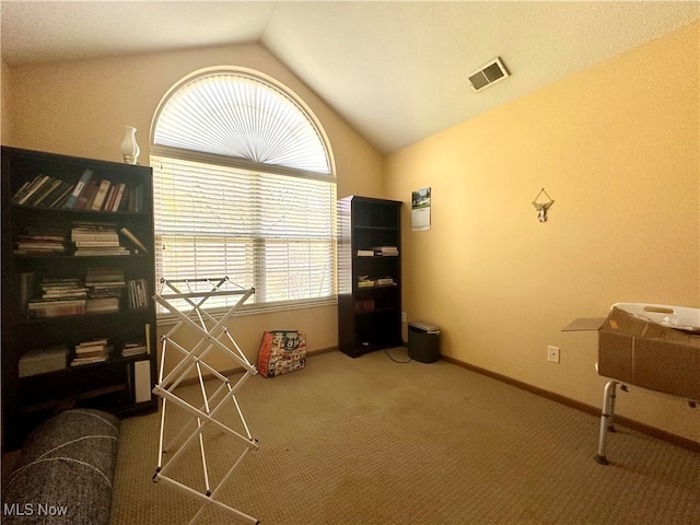 misc room featuring lofted ceiling and carpet floors