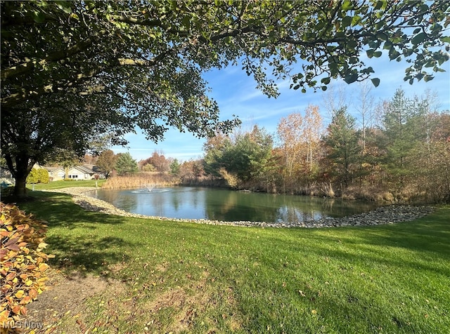 view of water feature