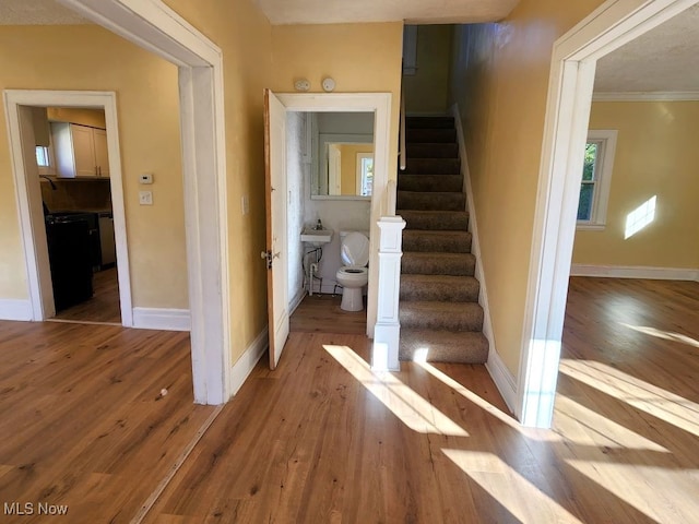 stairs featuring sink, wood-type flooring, and ornamental molding