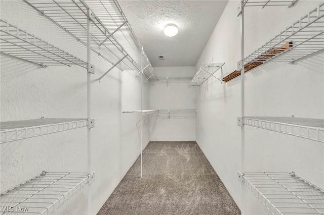 spacious closet with carpet flooring