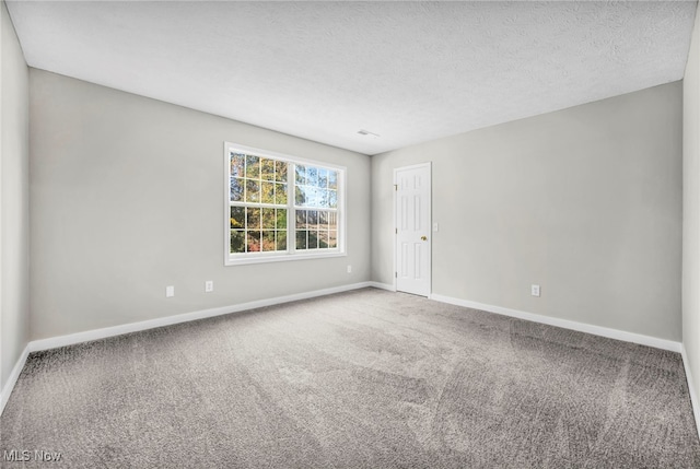 empty room featuring carpet and a textured ceiling