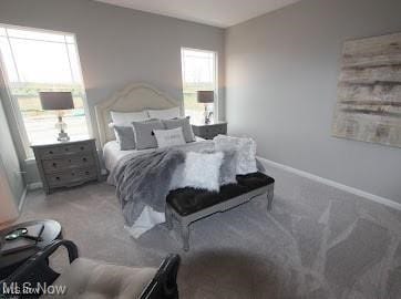 bedroom with carpet floors