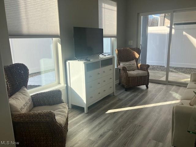 sitting room with hardwood / wood-style floors