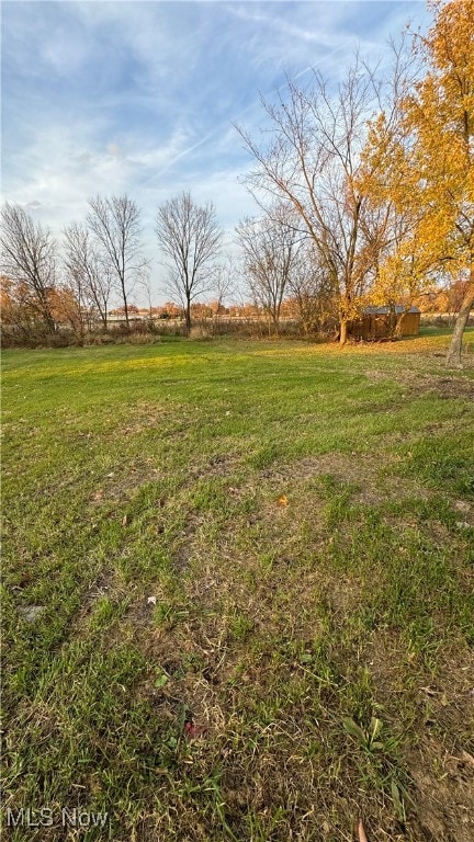 view of yard with a rural view