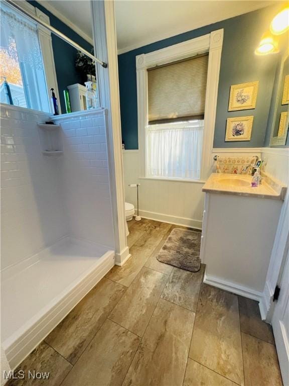 bathroom featuring toilet, vanity, plenty of natural light, and a shower