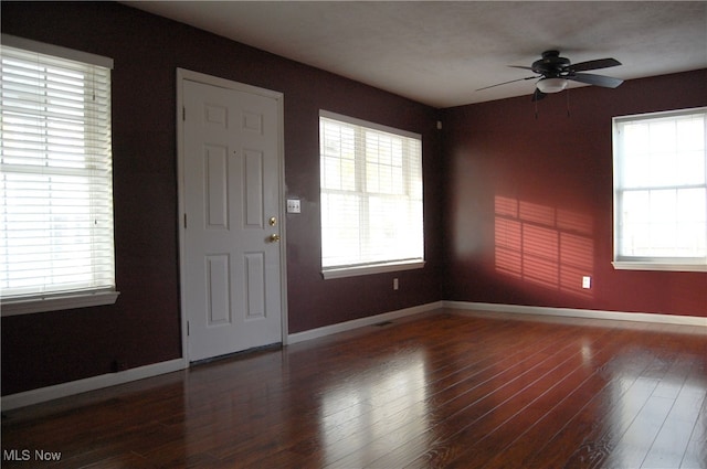 foyer featuring a healthy amount of sunlight, hardwood / wood-style flooring, and ceiling fan