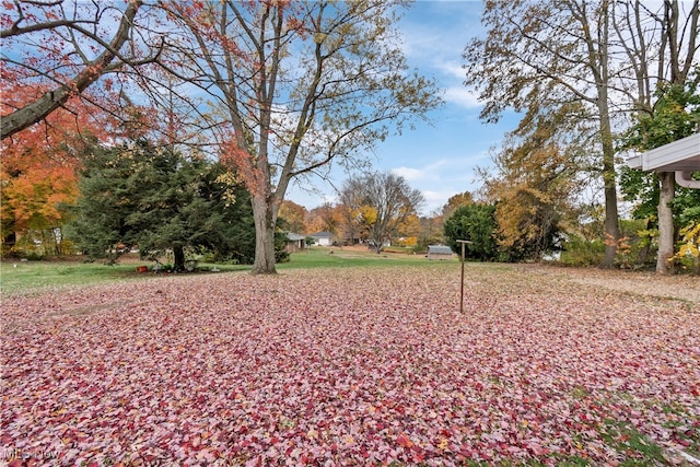 view of yard