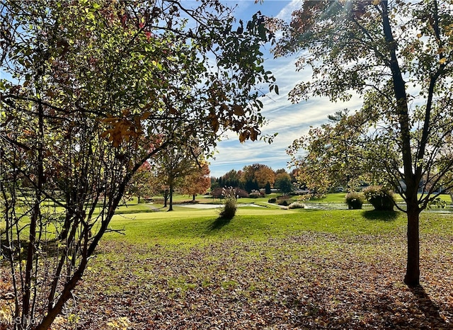 view of home's community featuring a lawn