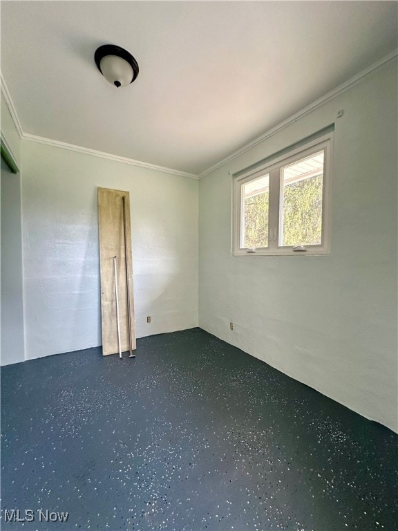 spare room featuring ornamental molding