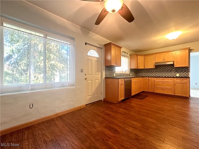 kitchen with ceiling fan, backsplash, dishwasher, dark wood-type flooring, and sink