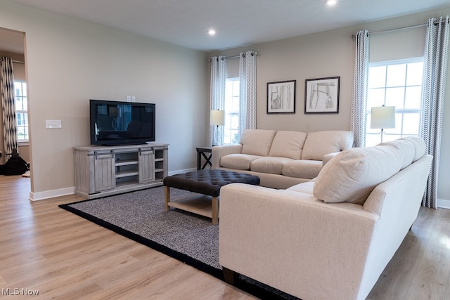 living room featuring light wood-type flooring and a wealth of natural light