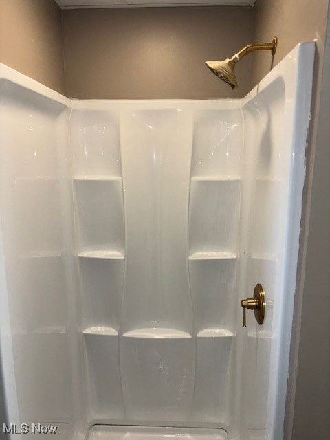 bathroom with a shower