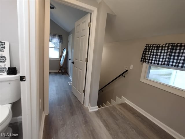 staircase with hardwood / wood-style floors and lofted ceiling