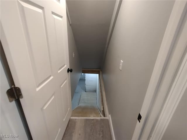 stairway featuring wood-type flooring