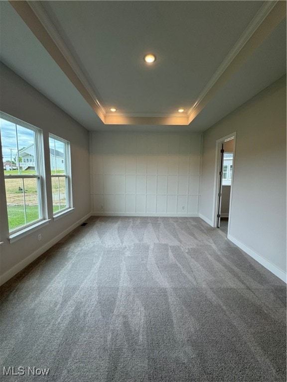 spare room with ornamental molding, light carpet, and a raised ceiling