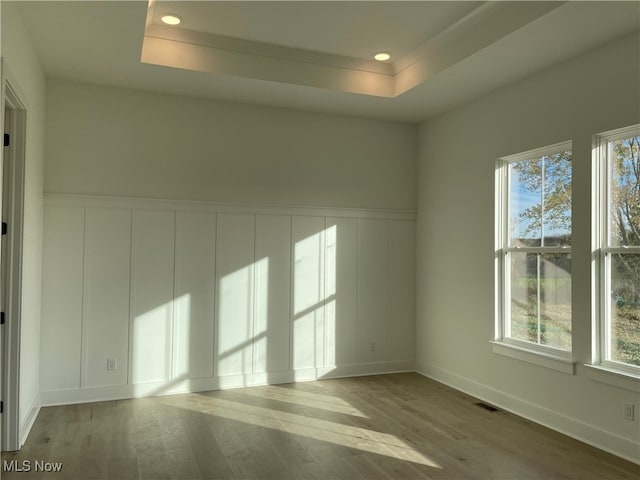 unfurnished room with a tray ceiling, light wood-type flooring, and a wealth of natural light