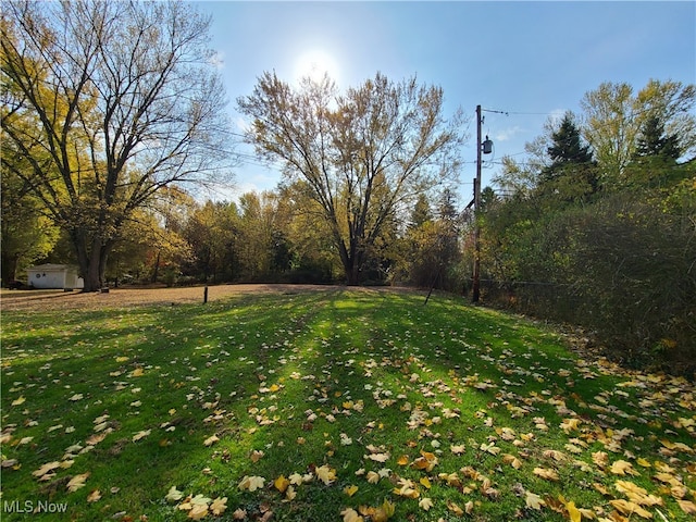 view of yard