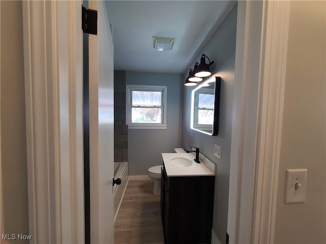 bathroom featuring toilet, vanity, and wood-type flooring