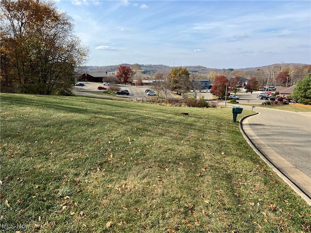 Listing photo 3 for Parkview Dr, Millersburg OH 44654