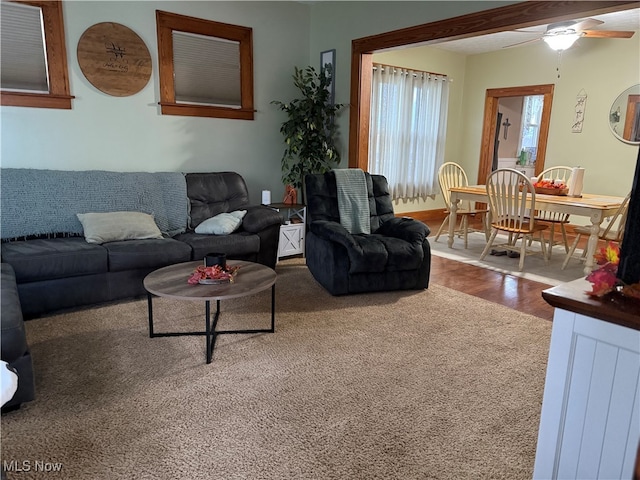 living room with wood-type flooring and ceiling fan