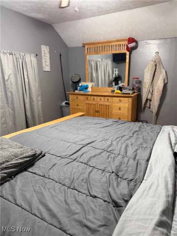 bedroom featuring vaulted ceiling