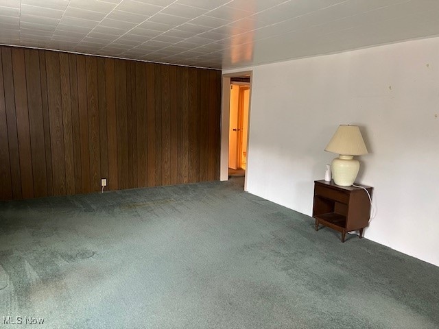 basement with wooden walls and carpet flooring