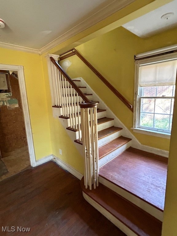 stairway featuring ornamental molding and hardwood / wood-style floors