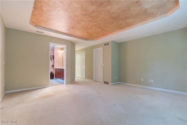 spare room featuring light carpet, a textured ceiling, and a raised ceiling