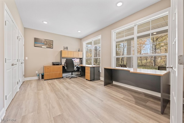 office space featuring a wealth of natural light and light hardwood / wood-style flooring