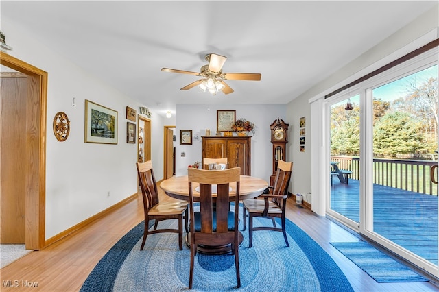 dining area with ceiling fan and light hardwood / wood-style floors