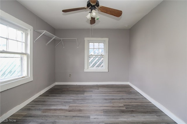 walk in closet with ceiling fan and dark hardwood / wood-style flooring