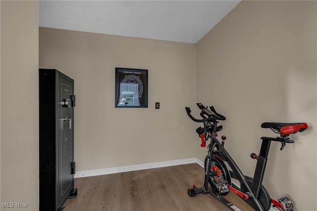 workout room featuring hardwood / wood-style flooring