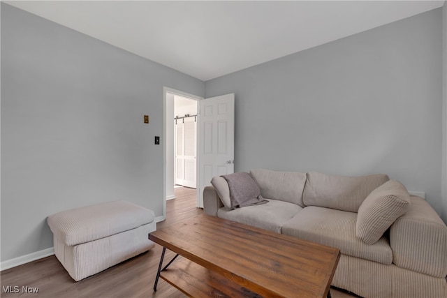 living room featuring wood-type flooring