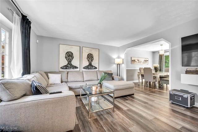 living room with hardwood / wood-style flooring and a healthy amount of sunlight