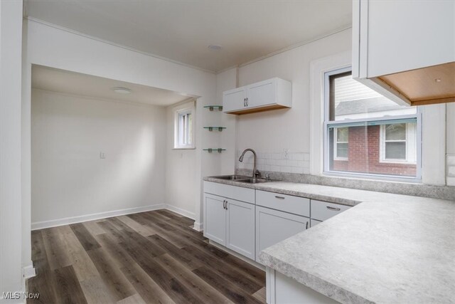 kitchen featuring white cabinetry, crown molding, sink, and dark hardwood / wood-style floors