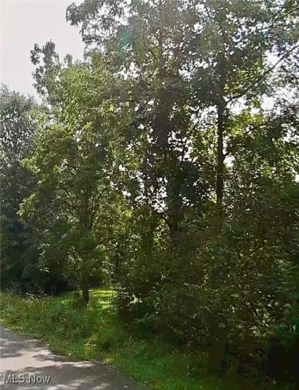Dale Ave, Lorain, OH 44055