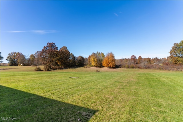 view of yard with a rural view