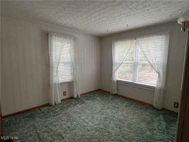 carpeted empty room with a textured ceiling and a wealth of natural light